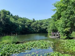 -天目湖山水园