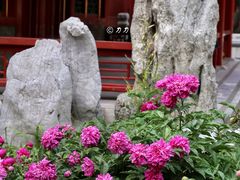 -故宫博物院(故宫)
