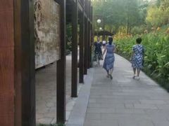 -重庆彩云湖湿地公园