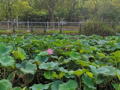 -美兰湖景区