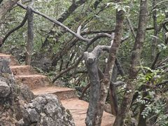 -普者黑风景区-青龙山