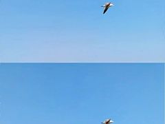 -石岛赤山风景区