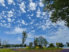 -东钱湖小普陀景区