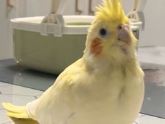 -老东吴食府(雅都店)