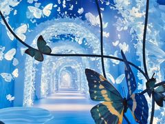 -深圳龙华星河COCO City(民治店)