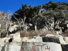 -泰山风景名胜区