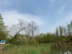 -贡湖湾湿地公园