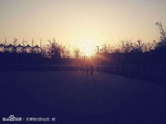 -天津现代职业技术学院