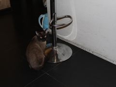 -吱咖啡西式简餐