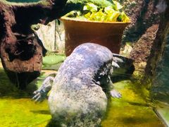 -太平洋海底世界