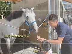 -名驭国际马术学院