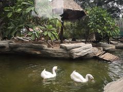 -灵玲国际马戏城