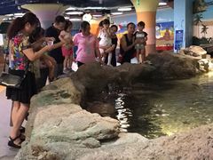 -绍兴梦享海洋公园