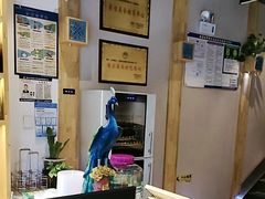 -金塔傣乡·云南民族特色菜·傣味手抓饭(金瓦路店)