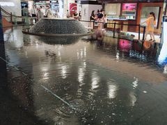 -新世界大丸百货