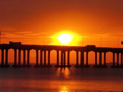 -宝安西湾红树林湿地公园