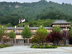 -王莽岭风景区