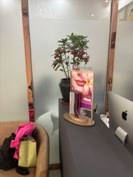 -紫洁俪方（北京）医疗美容