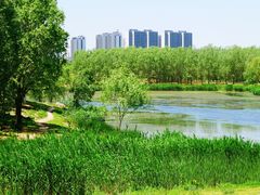-马家湾湿地公园