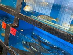 -华盛丰温州大排档(东三环南路店)