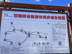 -大岭沟猕猴桃谷风景区