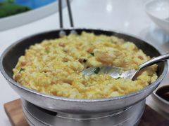 -丁老爷子苏香圆