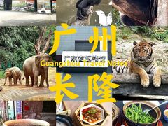 -小茶闲舍·观景商务茶馆(广州塔店)