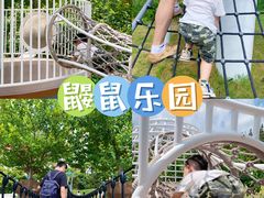 -前小桔亲子创意农场·草莓采摘·露营烧烤