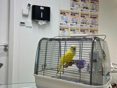 -立德异宠动物医院.兔鸟爬.内窥镜(天河店)