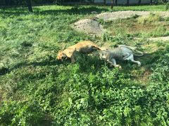 -西安秦岭野生动物园