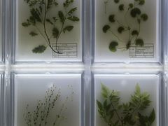 -广东中医药博物馆