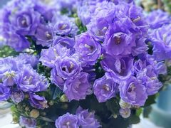 -恒达综合农贸市场(黄山路店)