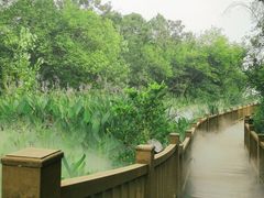 -江苏三台山国家森林公园