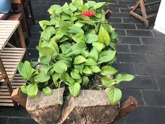 -丽江庭院之爱在路上(西单店)