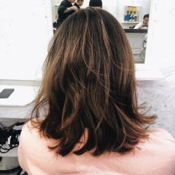 中发-SALON V