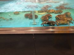 -盒马鲜生(宝地店)