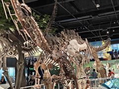 -国家自然博物馆