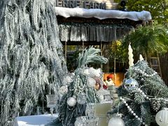 -HERRE·FARM 赫尔露营农场·团建聚会包场