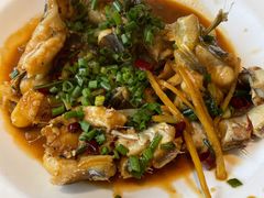 鳗鱼-金海湾海鲜排档(朱家尖店)