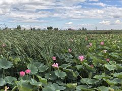 -敕勒川草原文化旅游区