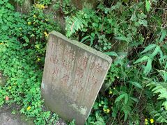 -南山植物园