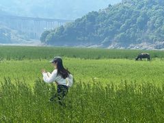 -翠屏湖景区