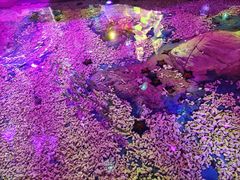 -秦皇岛新澳海底世界