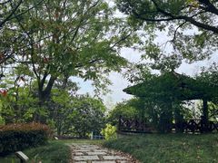 -上海滨江森林公园