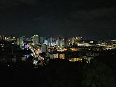-金鸡山公园