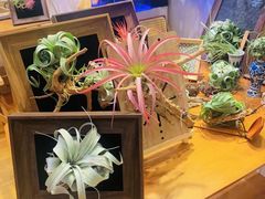 -Rabbit Cafe私房西餐甜点咖啡(栖霞路店)