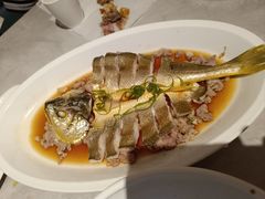-陶兰居·手工点心·粤菜(圆融时代广场店)