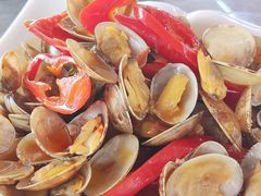 -西涌国际滨海旅游区