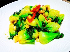 生炒广东塘菜苗-尚一汤·粤菜海鲜(环球港店)