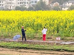 -新安江山水画廊风景区